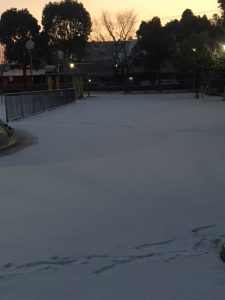 IMG_4630