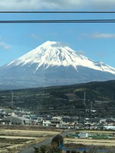 IMG_5253