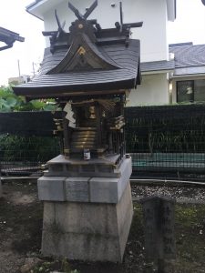 IMG_6118[1]